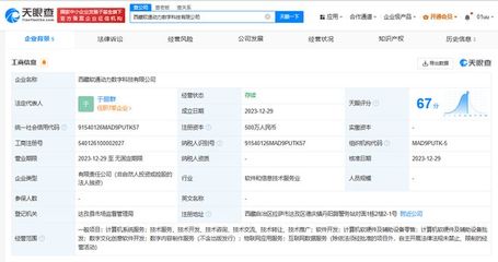 軟通動(dòng)力在西藏成立數(shù)字科技公司，布局?jǐn)?shù)字創(chuàng)意軟件新賽道