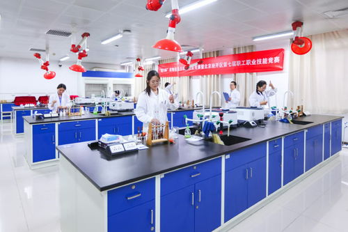 北京經(jīng)開區(qū)舉辦“精藝杯”藥物檢驗員職業(yè)技能競賽，助推產(chǎn)業(yè)人才高地建設(shè)