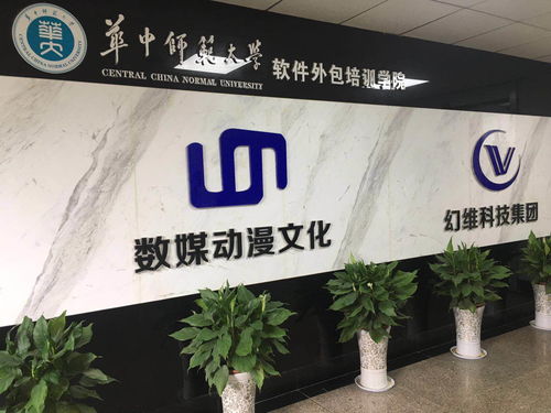 華中師范大學軟件外包培訓學院 引領(lǐng)武漢高端職業(yè)教育的典范